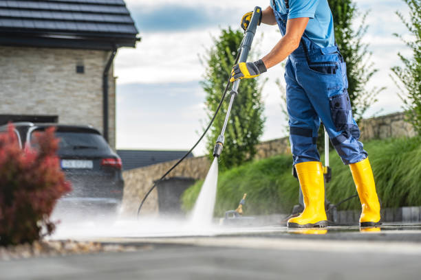 Best Gutter Cleaning  in Winnsboro, TX